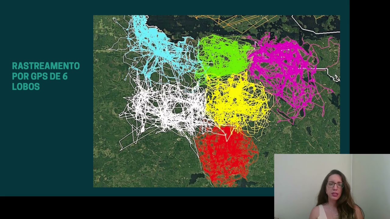 Relações ecológicas: Competição