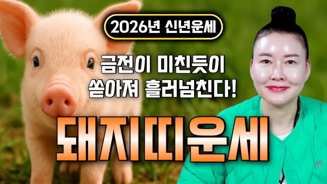 돼지띠, 이제 보상받는다｜2026년 병오년, 배신의 끝에서 대박이 터진다