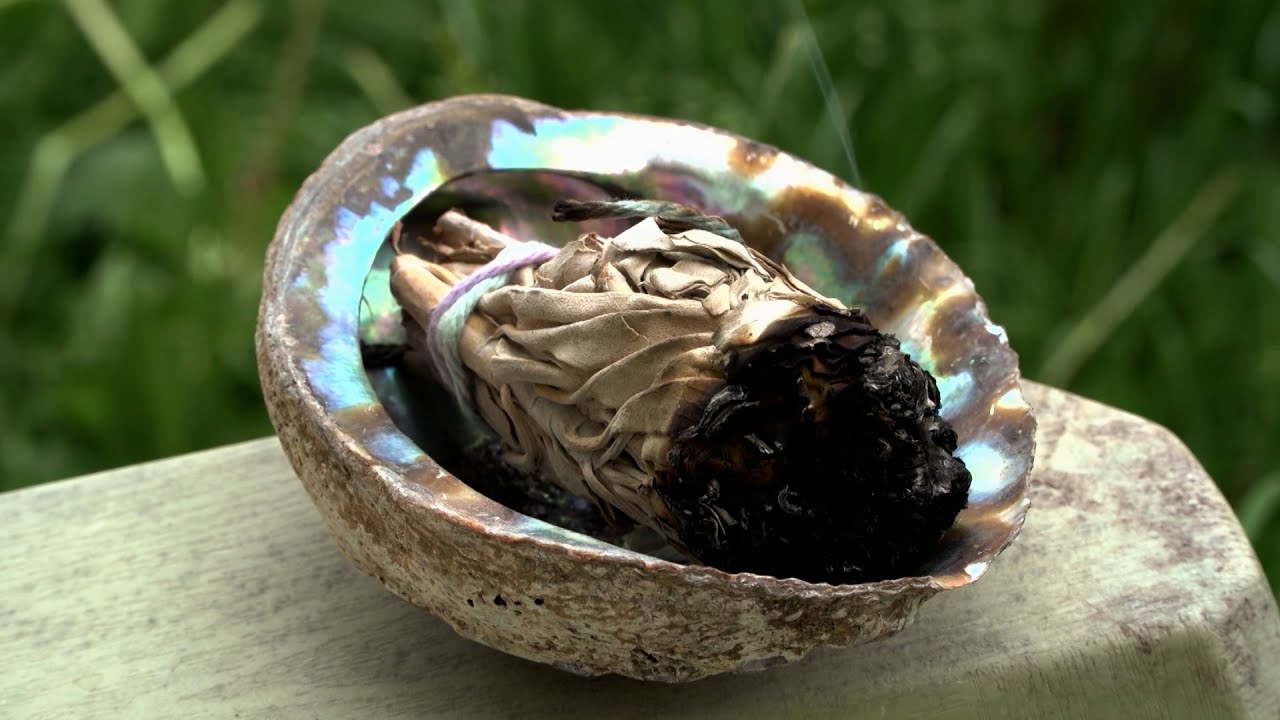 Stories of Resilience: Indigenous Voices on Culture, History, and Healing