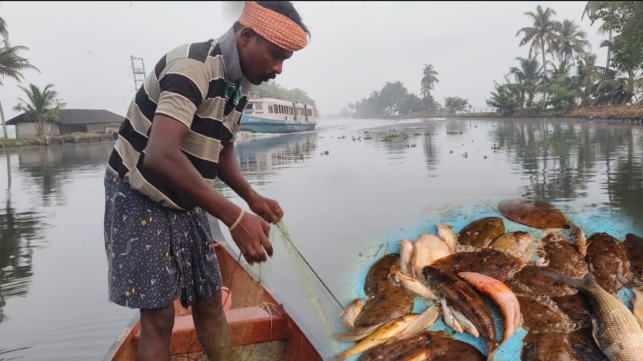 ഒരു കിടിലൻ ആറ്റു നങ്കു വേട്ട🐠🐠|traditionalfishing|nadanfishing|villagefishing|keralafishing|kuttanad