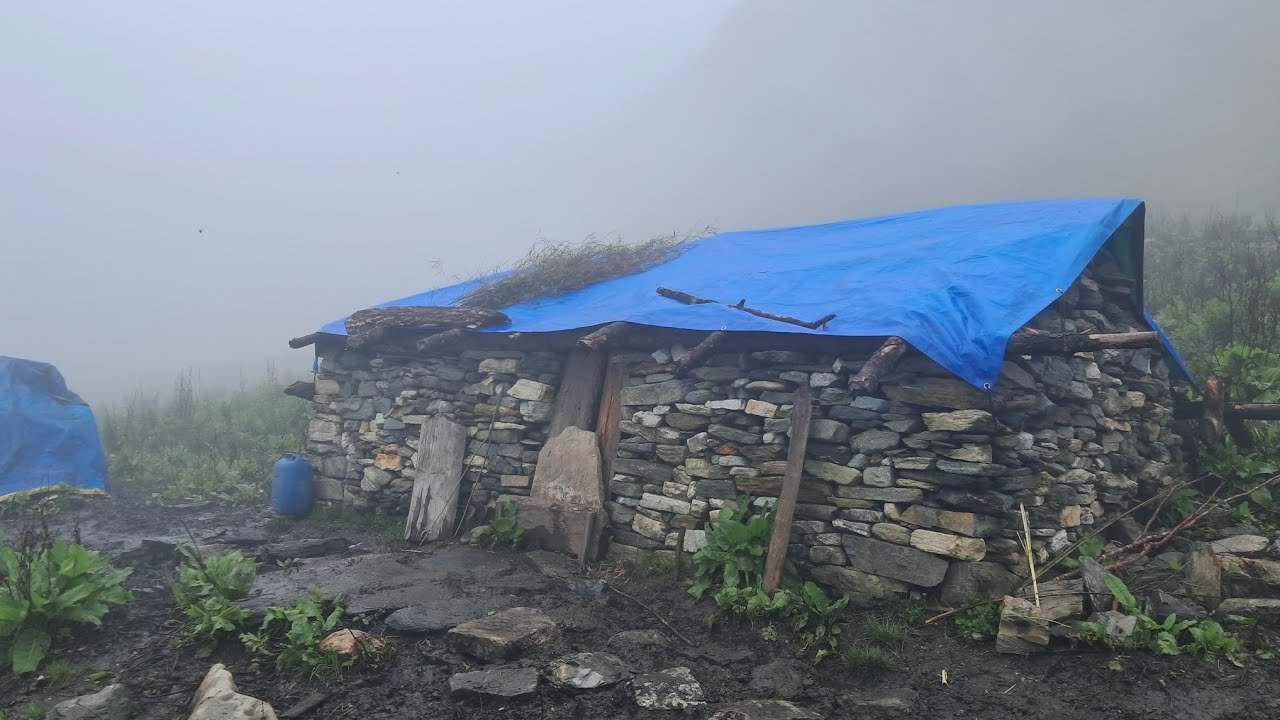 This IS Most Relaxation Rural Village Life During Rainy Days || Shepherd Rural Activity In Nepal ||