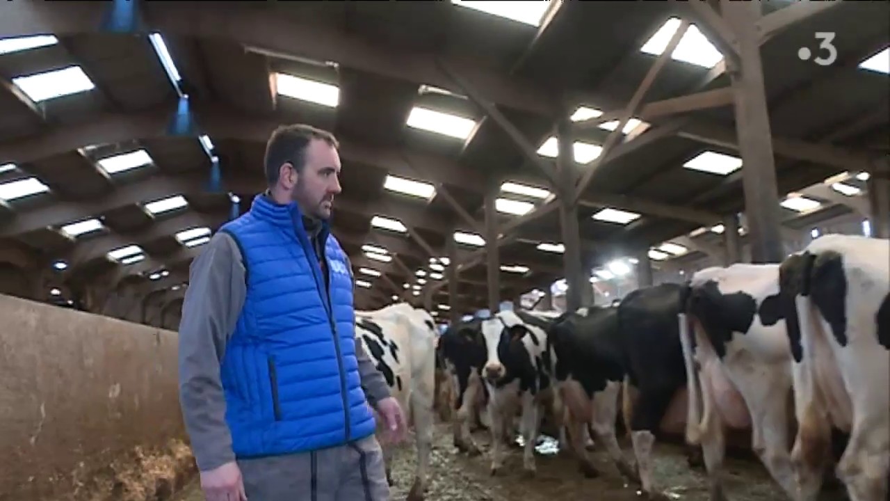 Saint-P&egrave;re-en-Retz : une laiterie promet un lait plus r&eacute;mun&eacute;rateur pour les &eacute;leveurs