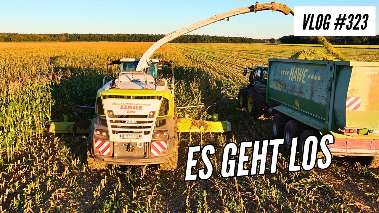 Vlog 323 | Endlich Maisernte! 🌽 Claas Jaguar & CR8.80 im Rotklee