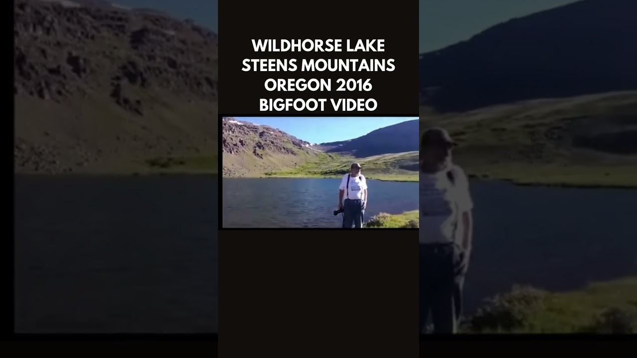 Bigfoot footage from Oregon, circa 2016, Wildhorse Lake, Steens Mountains #bigfoot #sasquatch