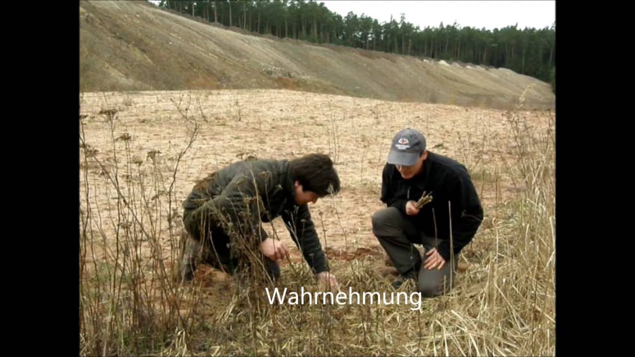 Wildnisschule Frankenalb - F&auml;hrtenlesen