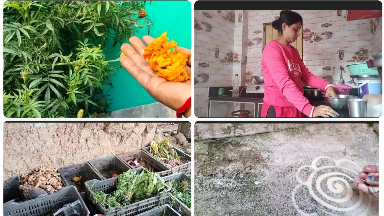 আমার তো ফুল খুব ভালো 🌸🌻বাজার থেকে এই গুলো কিনে নিয়ে এসেছি 🌷🌺🥀🌹#ritulifestyle 