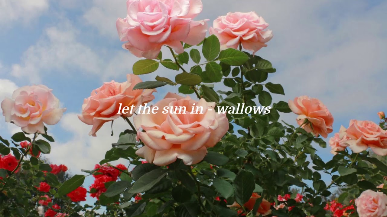 let the sun in - wallows {slowed and reverb}