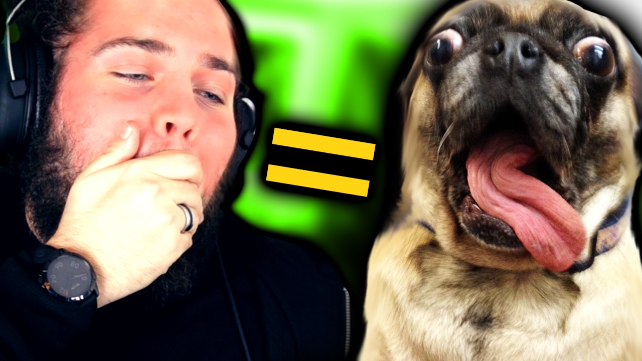 TENTA NÃO RIR - VERSÃO ANIMAIS
