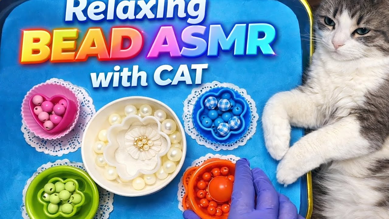 Cat & Beads ASMR 🐱✨ | Satisfying Sounds for Sleep & Anxiety Relief