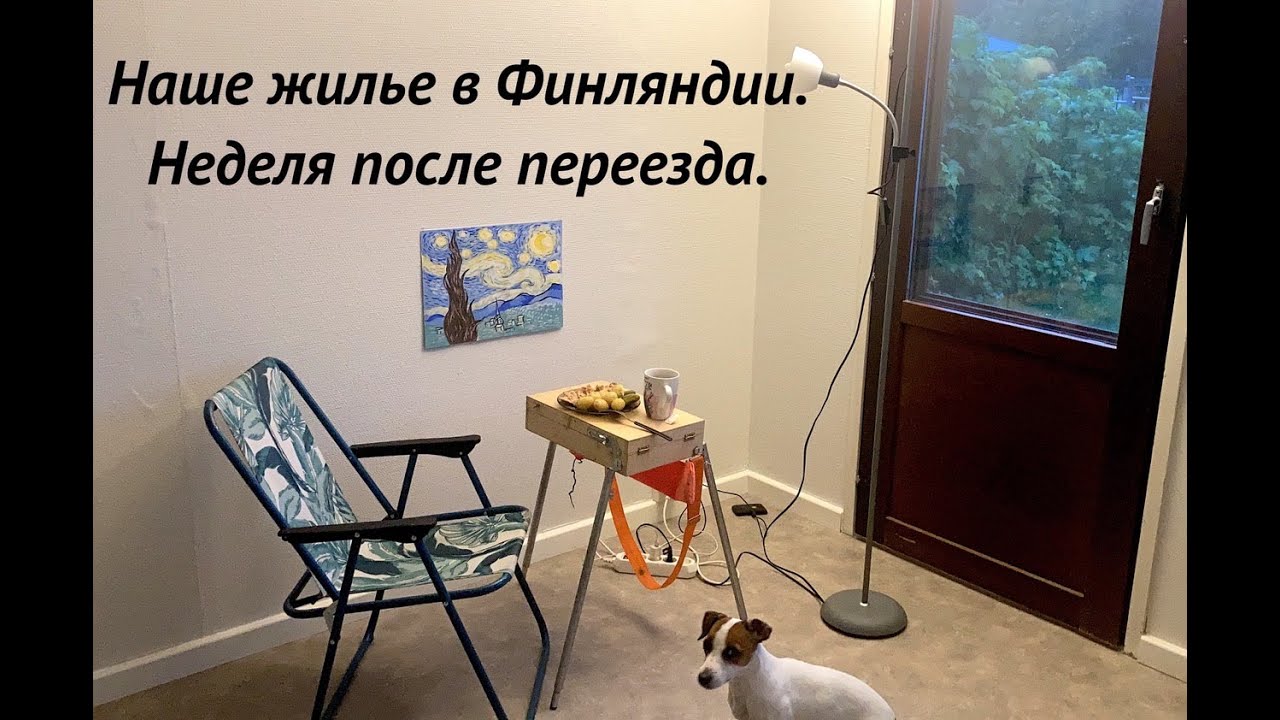 Жилье в Финляндии. Ривитало в Оутокумпу. Переезд с собакой.