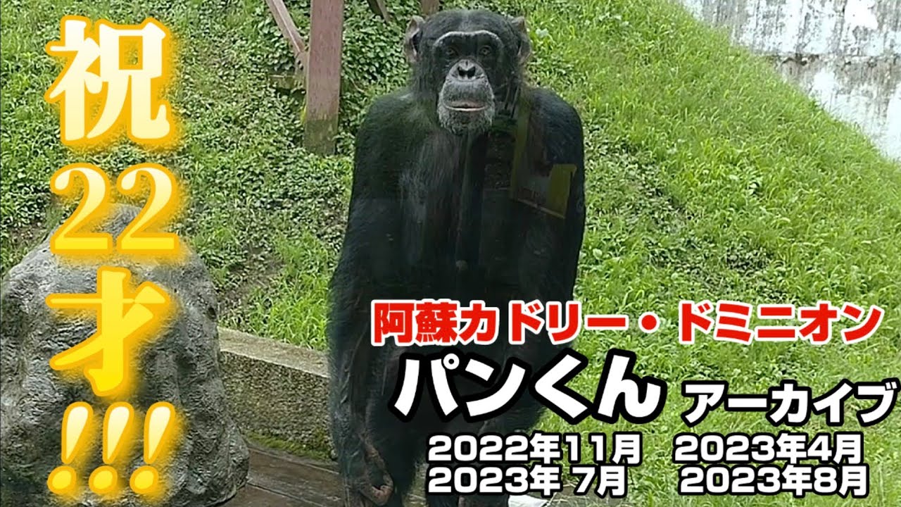 【10月1日で22才】パンくんアーカイブ　＃阿蘇カドリードミニオン