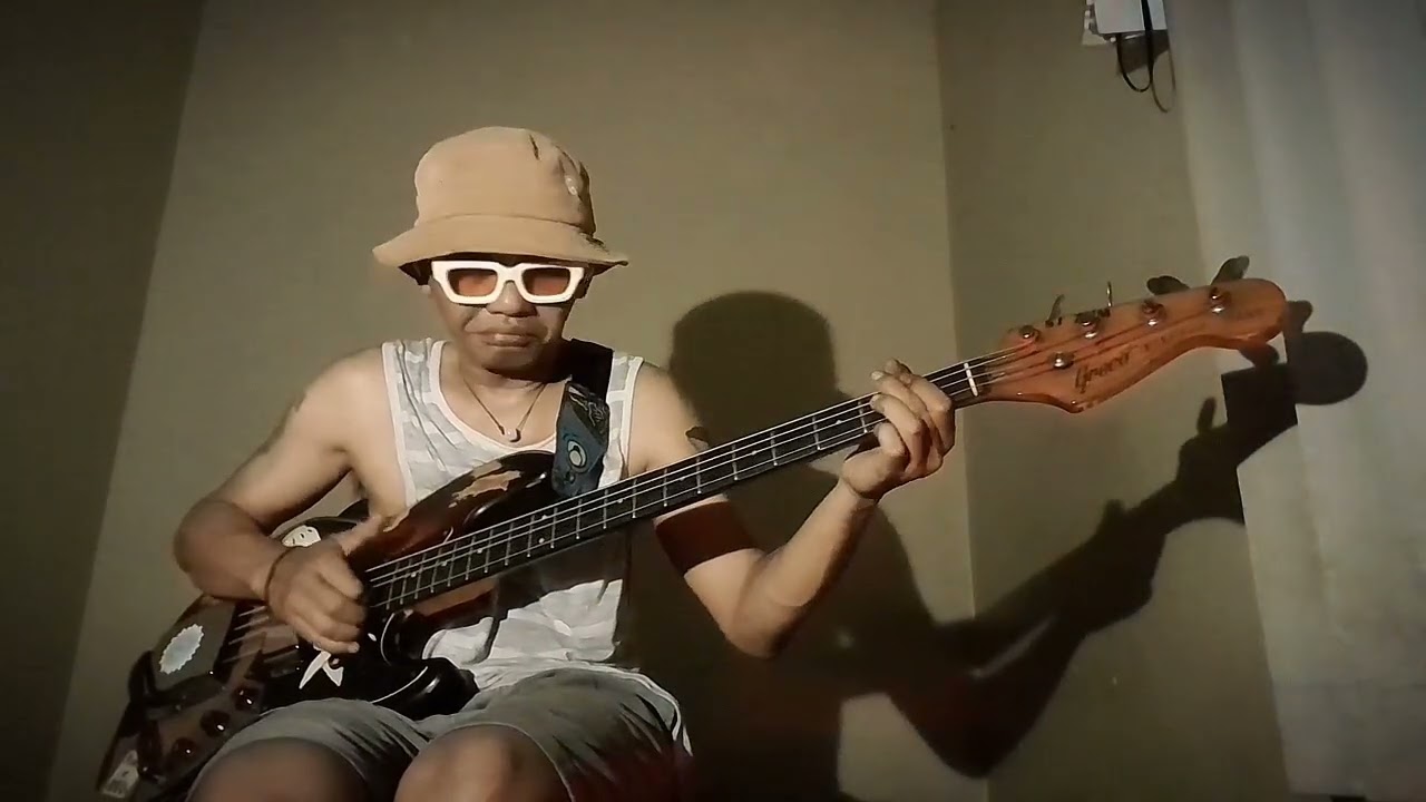 311 - Come Original #basscover 