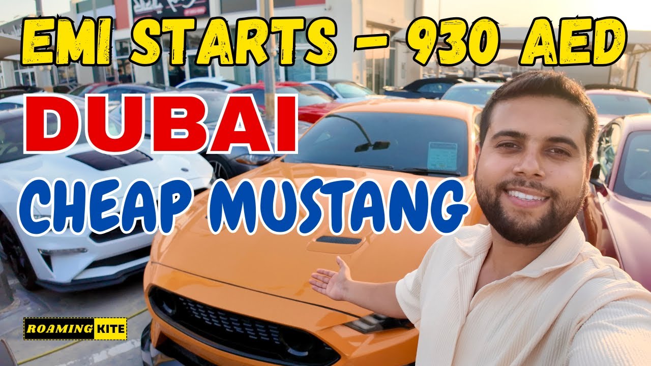 Dubai Cheap Mustang Price | Dubai Second Hand Mustang | Dubai Second Hand Car Market