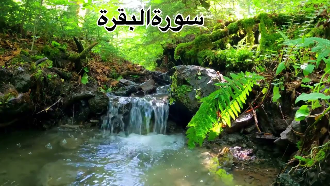 سورة البقرة كاملة بصوت خاشع للقارئ علاء عقل 🌙 تلاوة مريحة للقلب