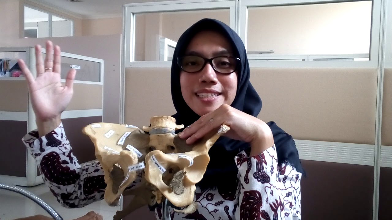 bidang hodge & mekanisme persalinan (cardinal movement)