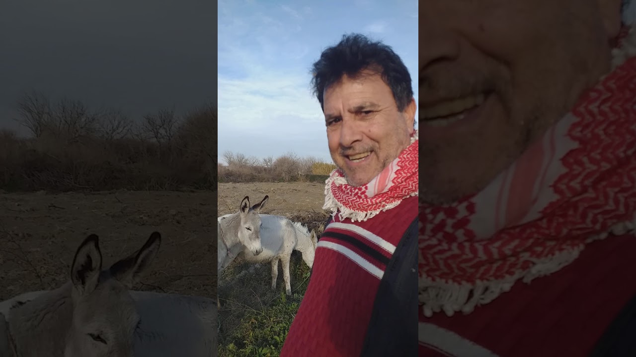 ثراث تلعفر تصوير قناة الغزلان تقديم الإعلامي كويلي