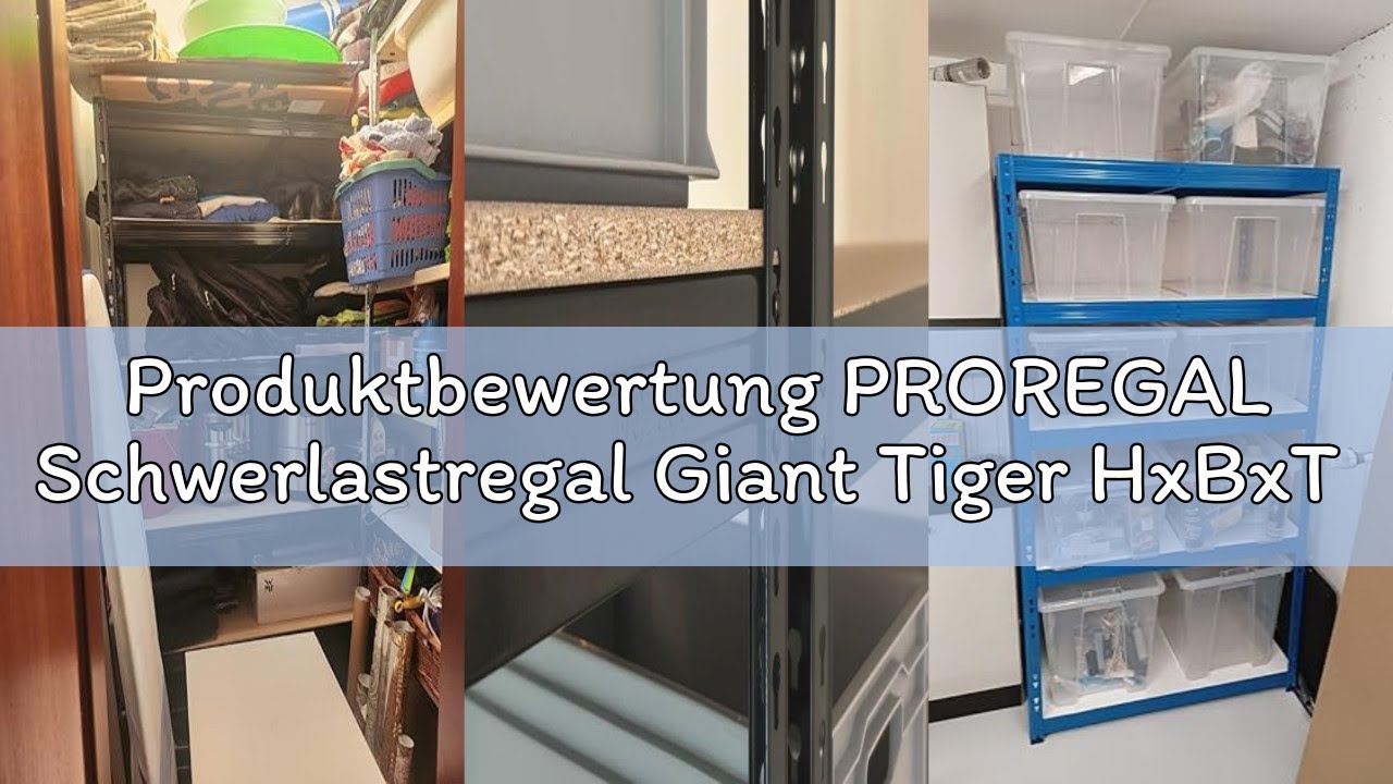 Produktbewertung PROREGAL Schwerlastregal Giant Tiger HxBxT 200x120x40 cm Fachlast 265kg, 6-Ebenen,