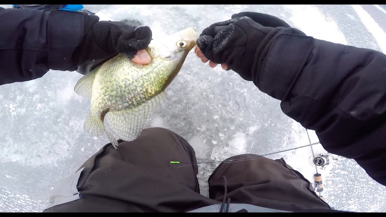 Ice fishing Fox Lake- Crappies, Bluegills and Perch