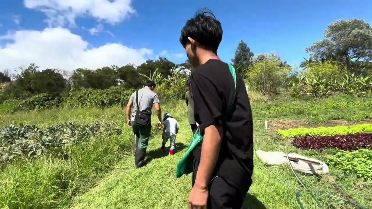 Karenni family go to visit the Green Connect farmers.