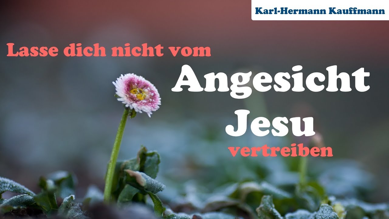Lasse dich nicht vom Angesicht Jesu vertreiben - Karl-Hermann Kauffmann