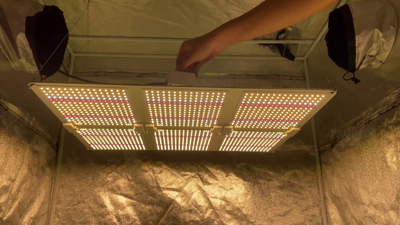 Cretivity 640W quantum board led grow light