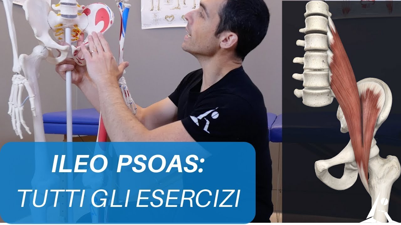 Esercizi per ILEO PSOAS: il muscolo che 