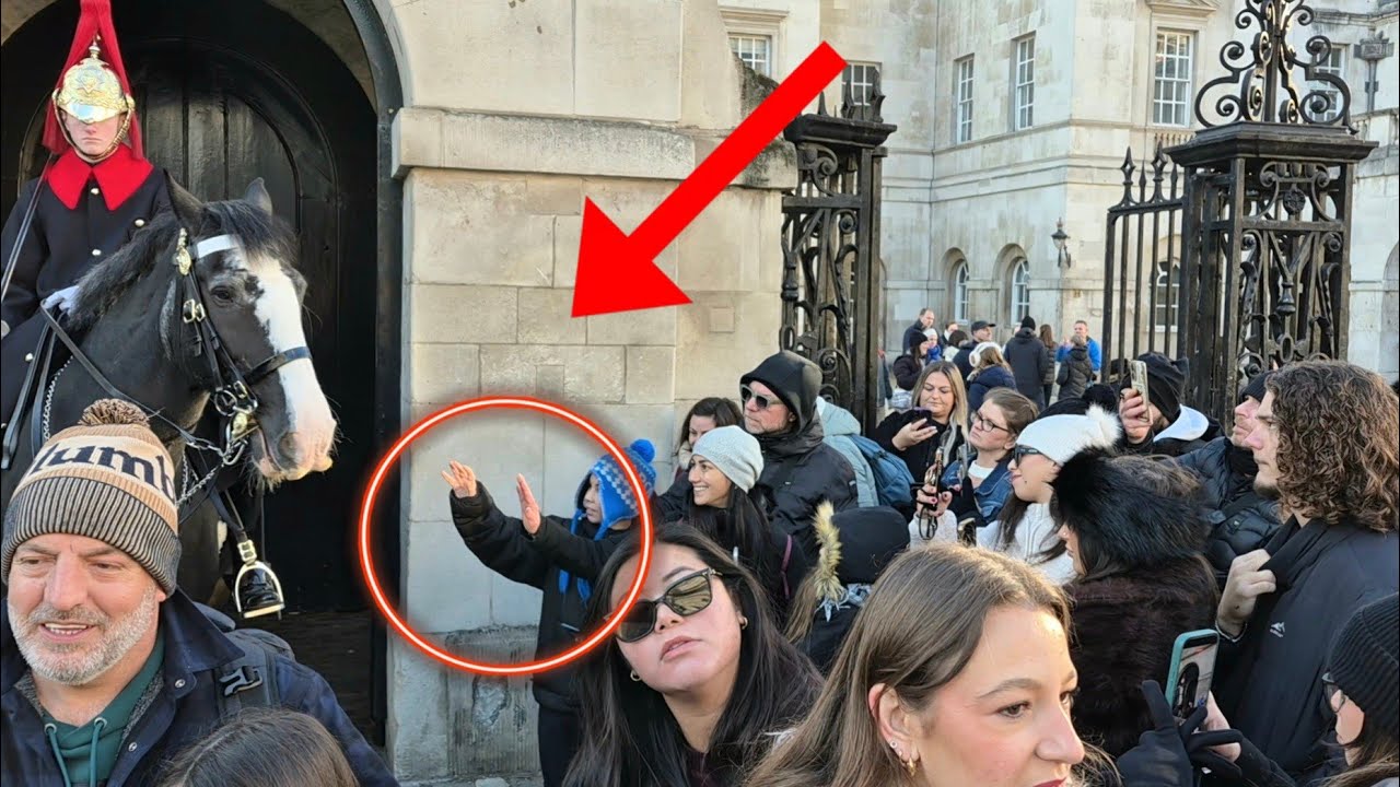 'NOT  ALLOWED' tourists wants to try to touch the Horse!