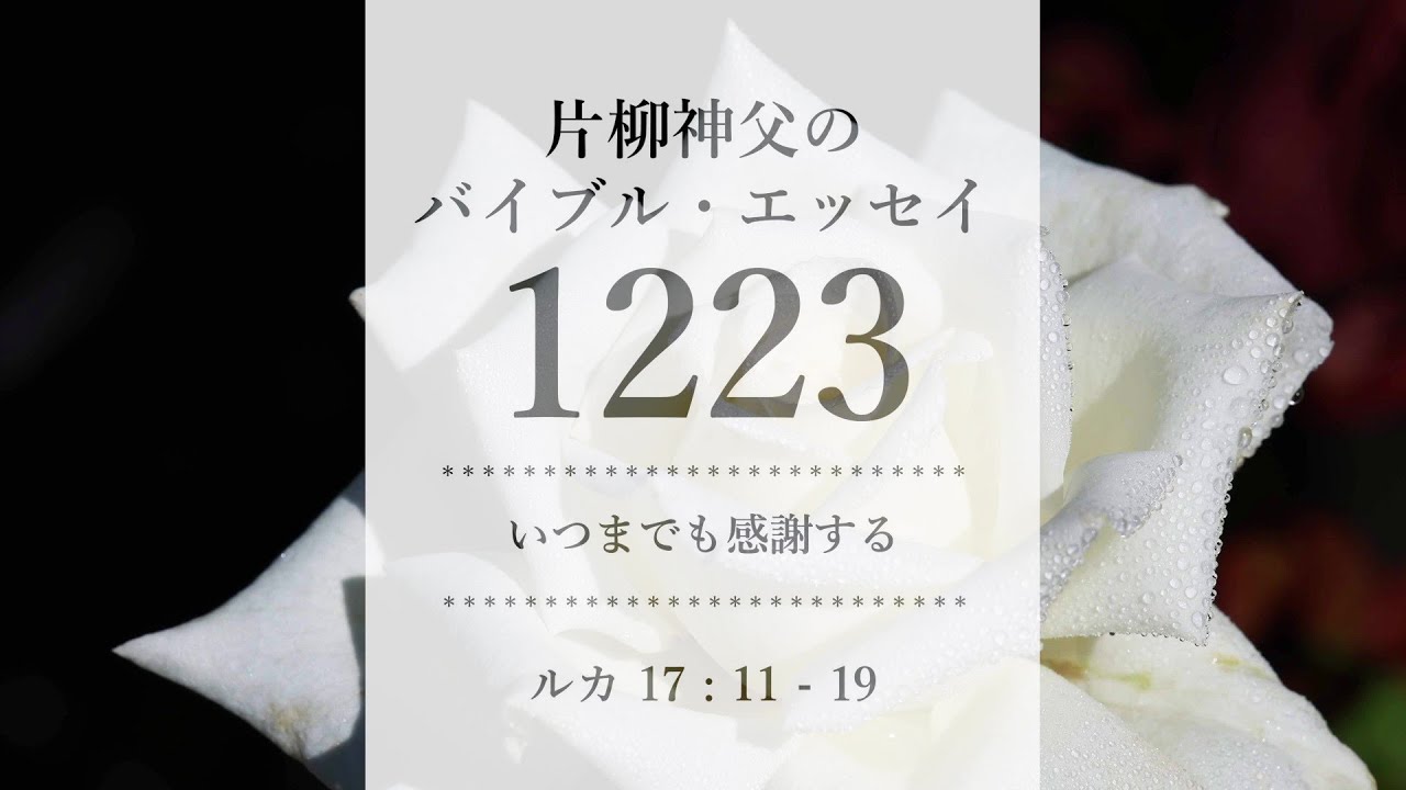 バイブル・エッセイ 1223『いつまでも感謝する』（聖書朗読とミサ説教：片柳弘史神父）