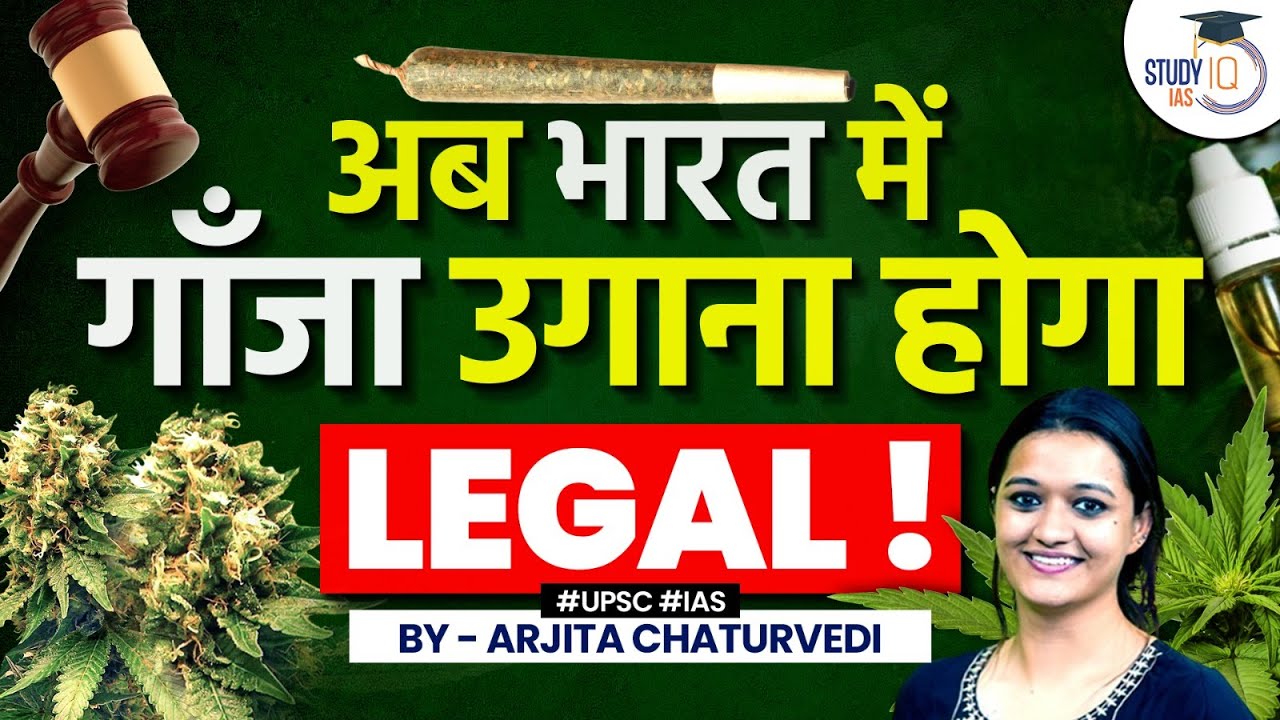 Himachal Pradesh Considers Legalizing Cannabis Cultivation | Boosting Revenue & Medicinal Benefits