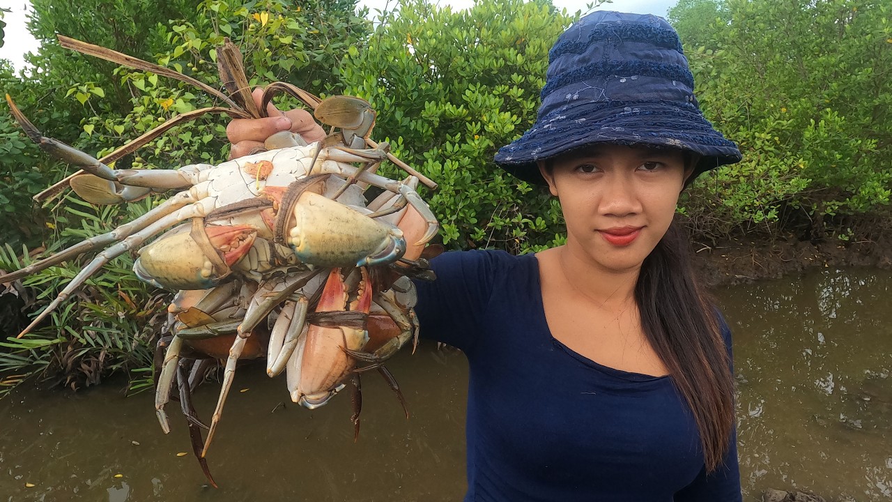 Swamp Giants Revealed: Catching Huge Mud Crabs by Hand