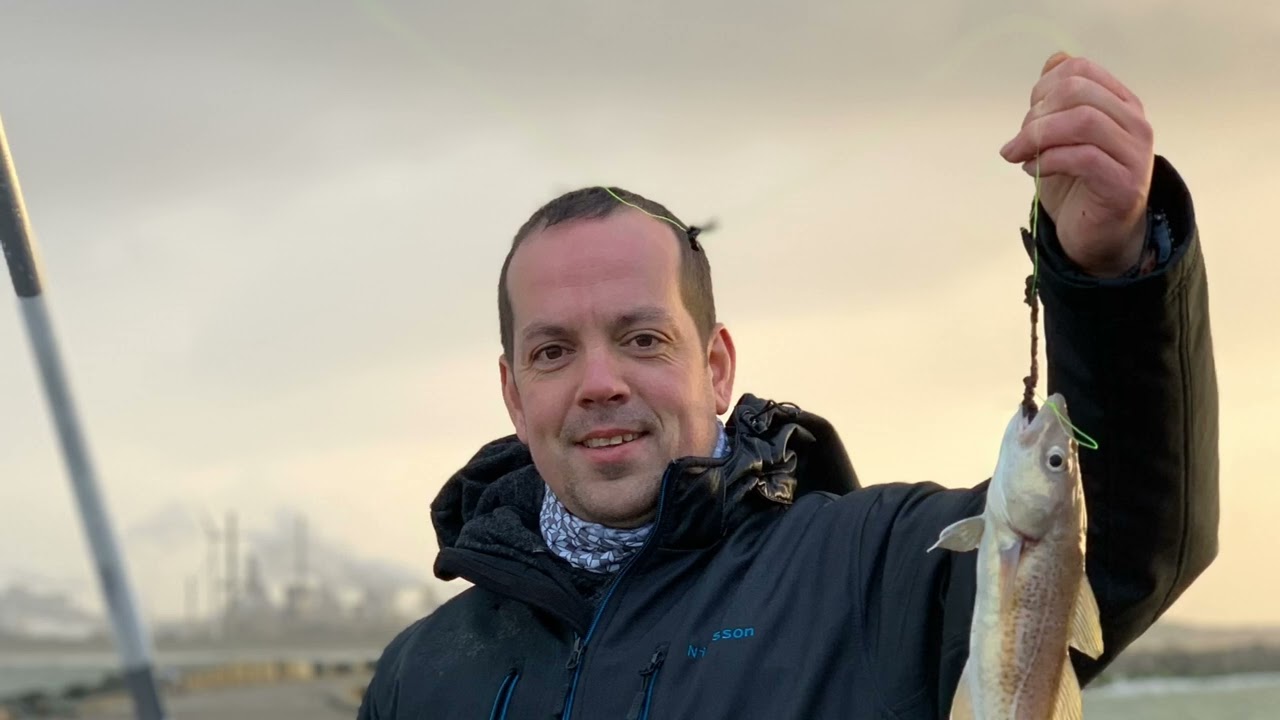 Noord Pier IJmuiden Gul vissen