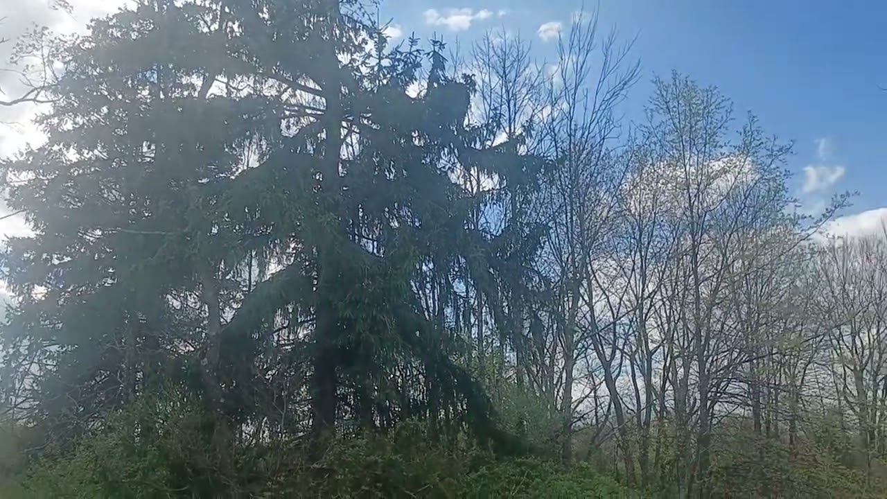 History at Tower Hill, Hunterdon County NJ on the Highlands Trail