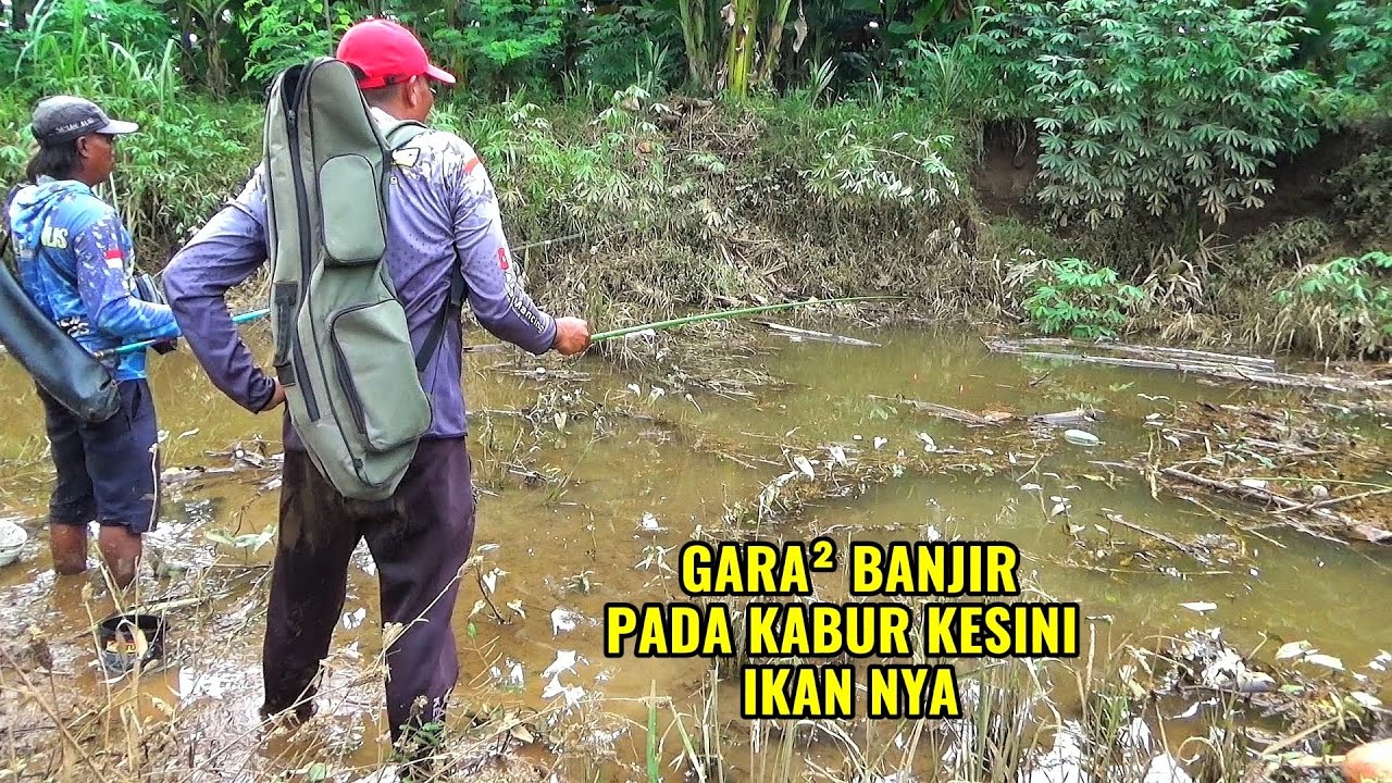 Perjuangan Saat Mancing Di Musim Hujan Dari Mulai Hujan Sampai Banjir Sampai Hujan Lagi
