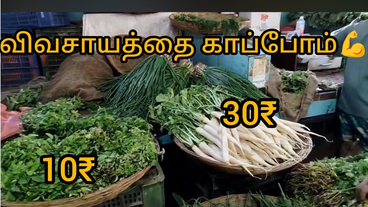 மும்பை குர்லா காய்கறி மார்க்கெட் விவசாயத்தை காப்போம்🙏🙏🙏🥦🍅🫑🥕🥒🍆