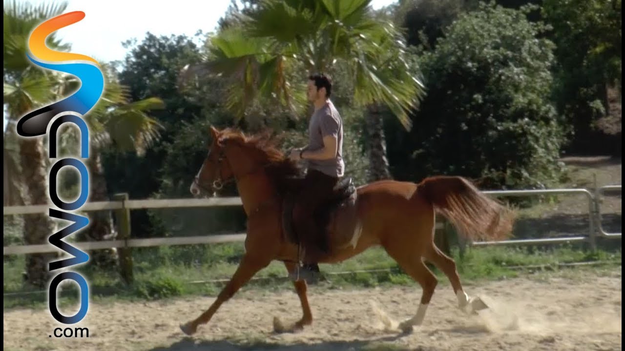 Cómo galopar a caballo