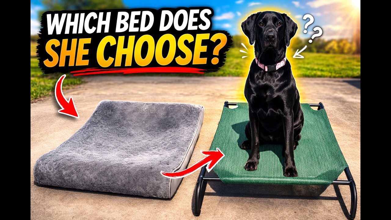 Which bed does she choose?