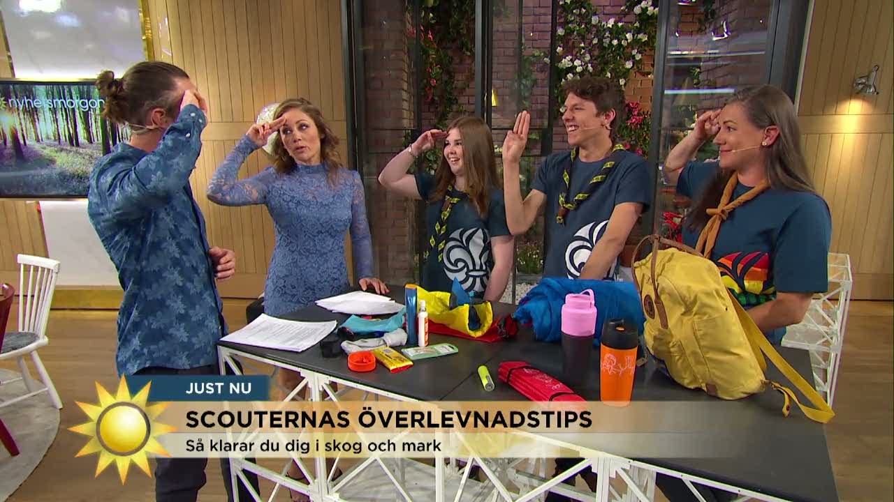 Alltid redo! Så jobbar scoutrörelsen med nyanlända - Nyhetsmorgon (TV4)