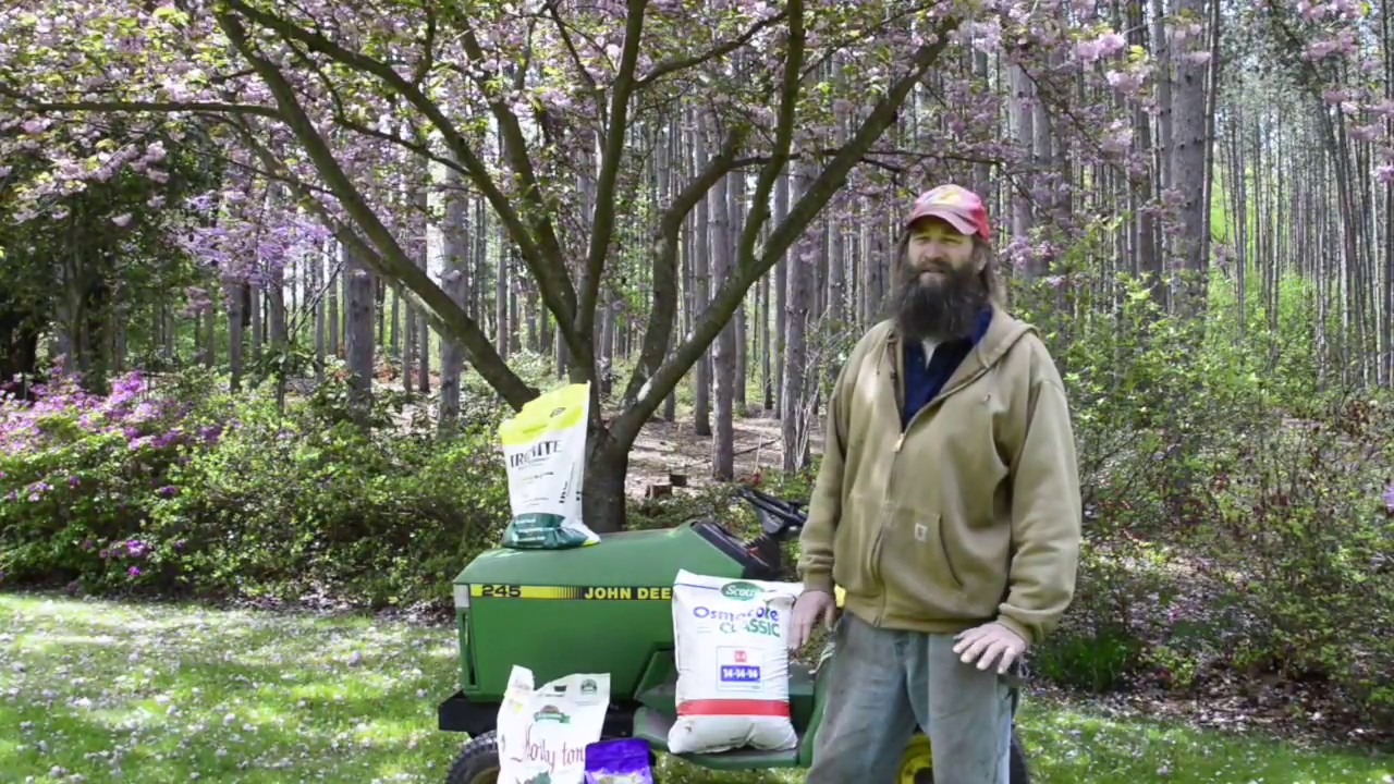 John Migas Rhododendron Fertilization