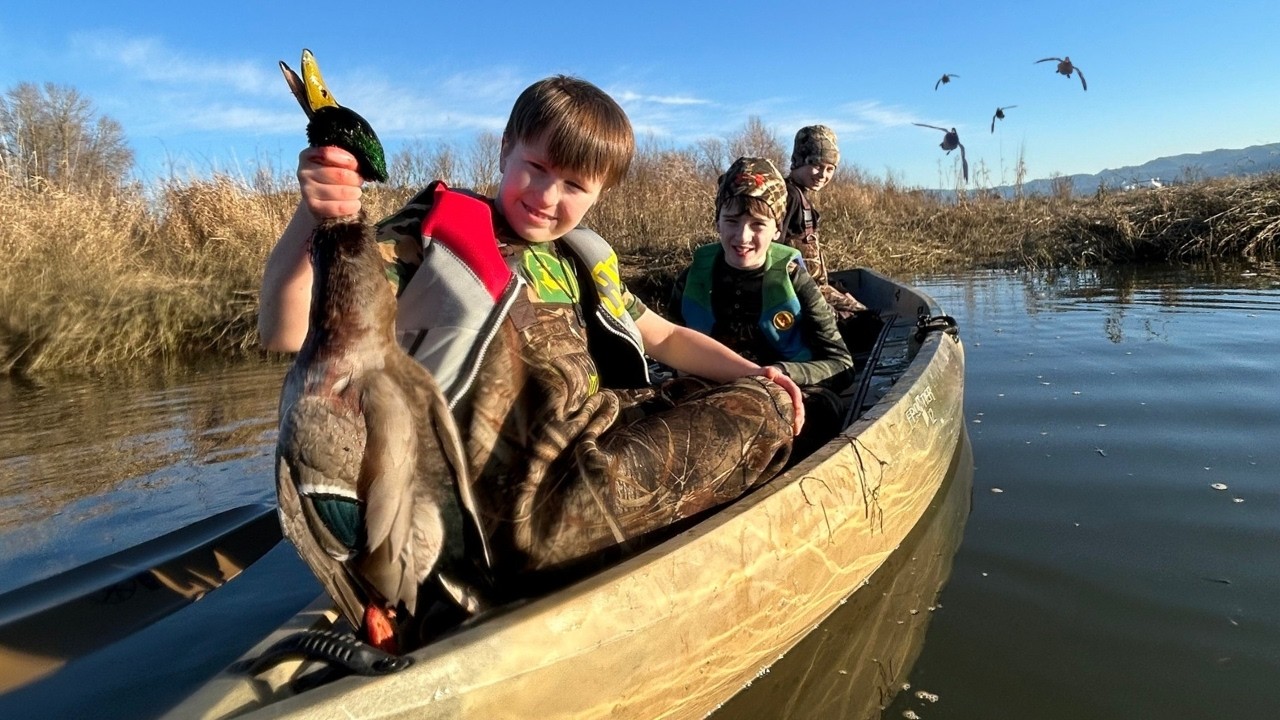 Jump Shooting Mallards on a Small Creek with the Boys