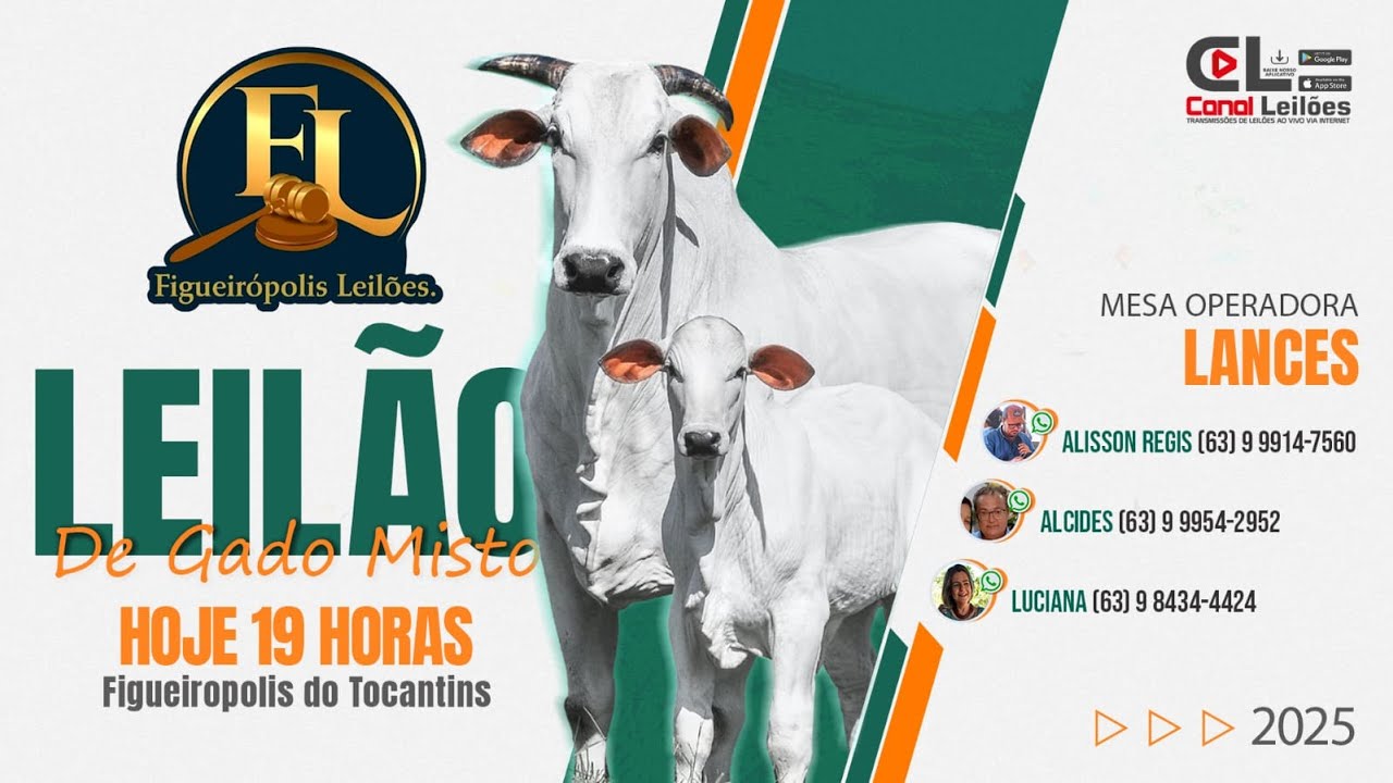 Canalleiloes.com | 🔝   LEIL&Atilde;O DE GADO MISTO FIGUEIR&Oacute;POLIS LEIL&Otilde;ES FIGUEIR&Oacute;POLIS TOCANTINS-TO📌