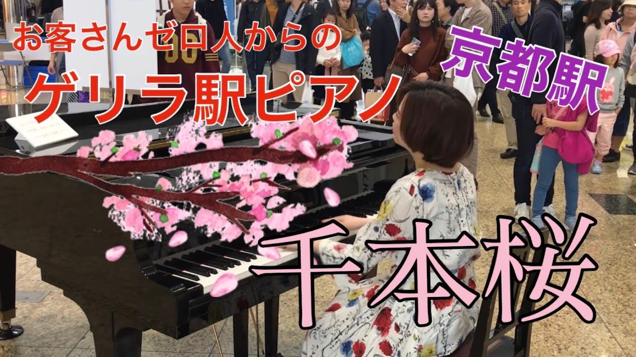 【京都駅ピアノ】お客さん０人からの千本桜🌸