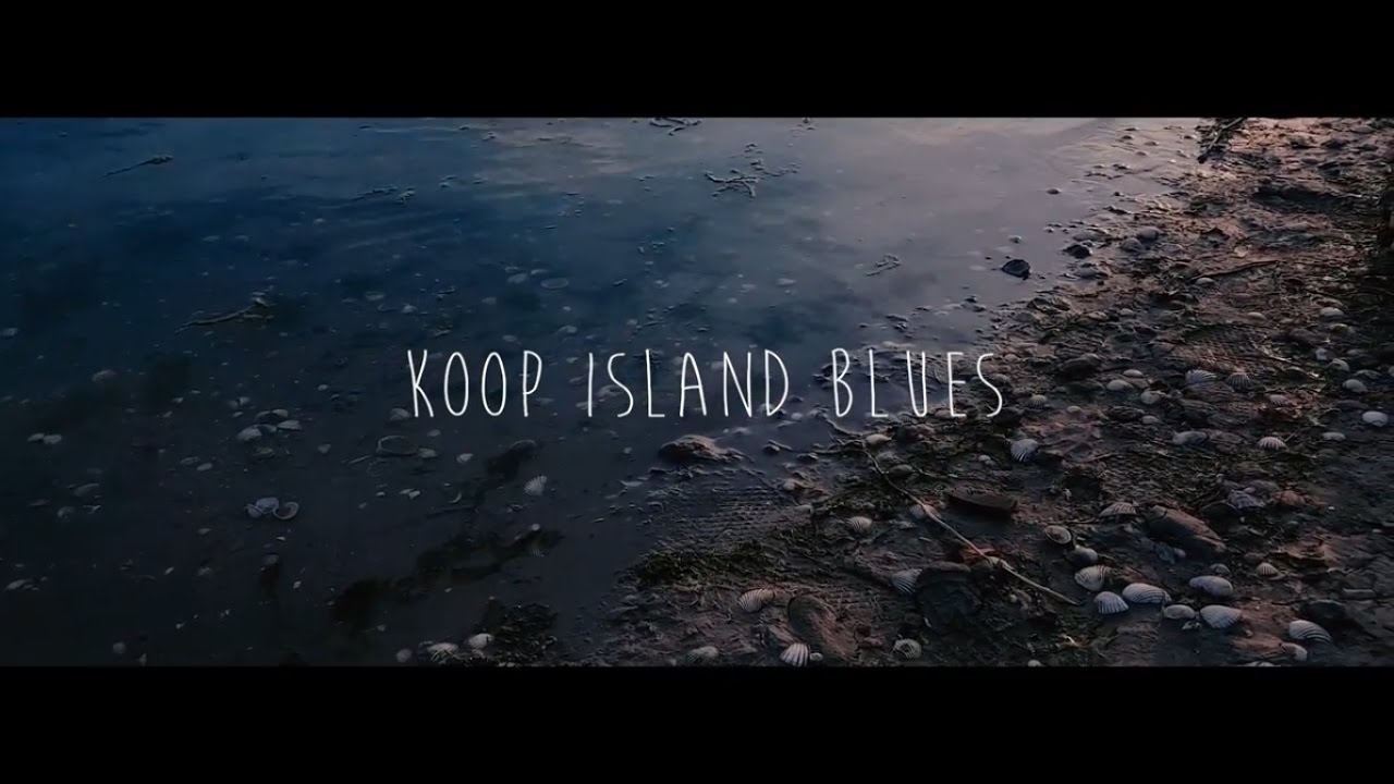 Hazal Aydoğan - Koop Island Blues Cover