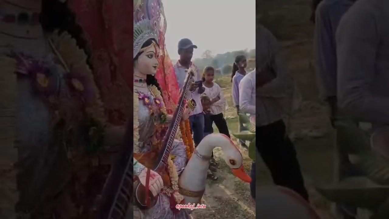 सरस्वती मैया के बिसर्जन 