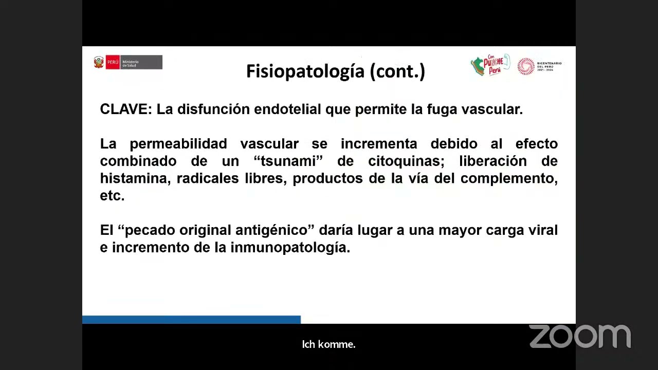 APLICACIÓN DE TELESALUD EN EL MANEJO Y CONTROL  DEL DENGUE EN LA PERSONA ADULTA - PRIMER NIVEL DE AT