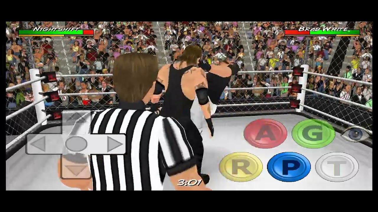 Under Taker vs Bray Wait into hell in a cell match 