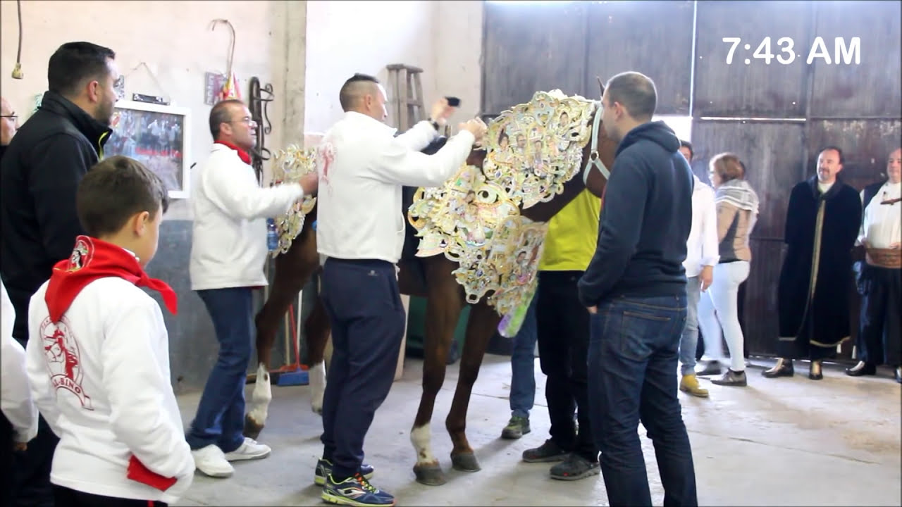 2017_05 Fiestas de Mayo Peña AL BINO Como se viste un Caballo del Vino by zAkAtYn 👀