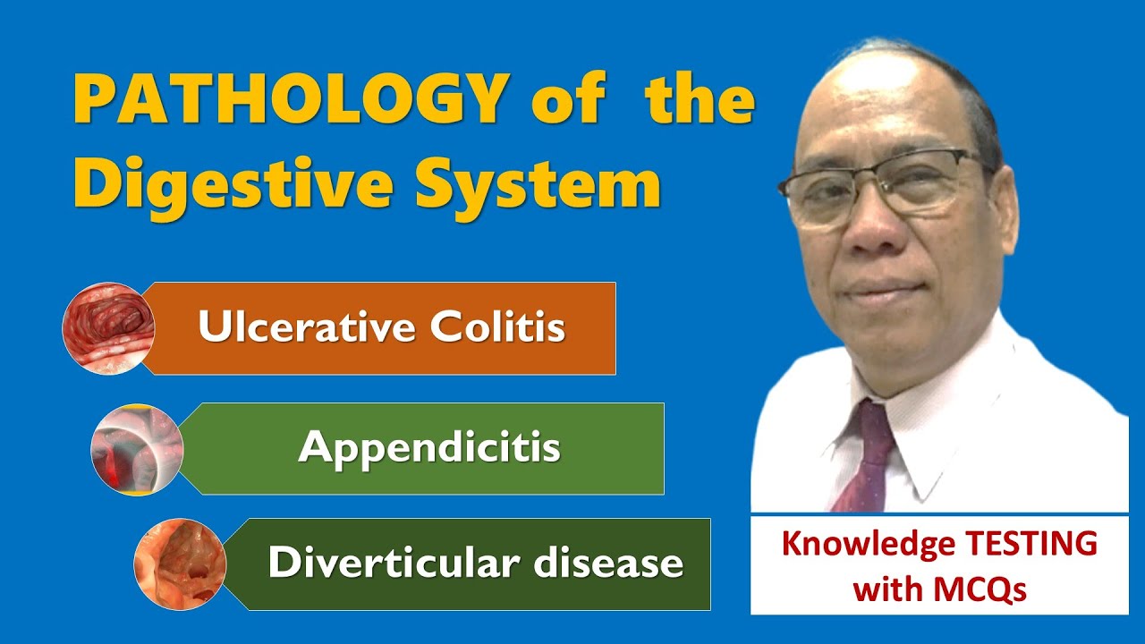 Key MCQs | Digestive System Anatomy | V.1