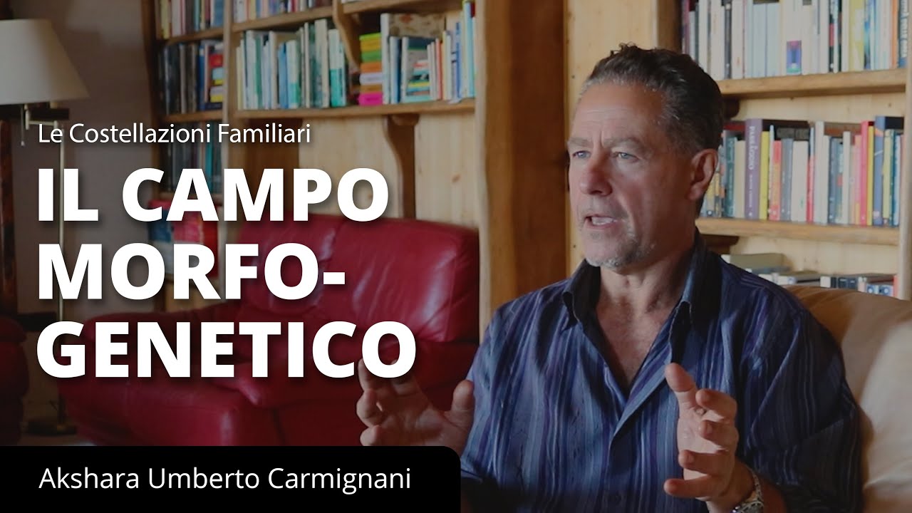 Le Costellazioni Familiari - Cos'è il campo morfogenetico