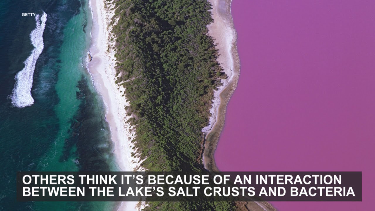 Bubble-gum pink water of Lake Hillier in Australia defy scientific explanation