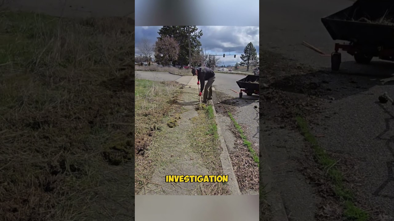 Kind neighbor nearly arrested for mowing 80 year old lady's lawn!